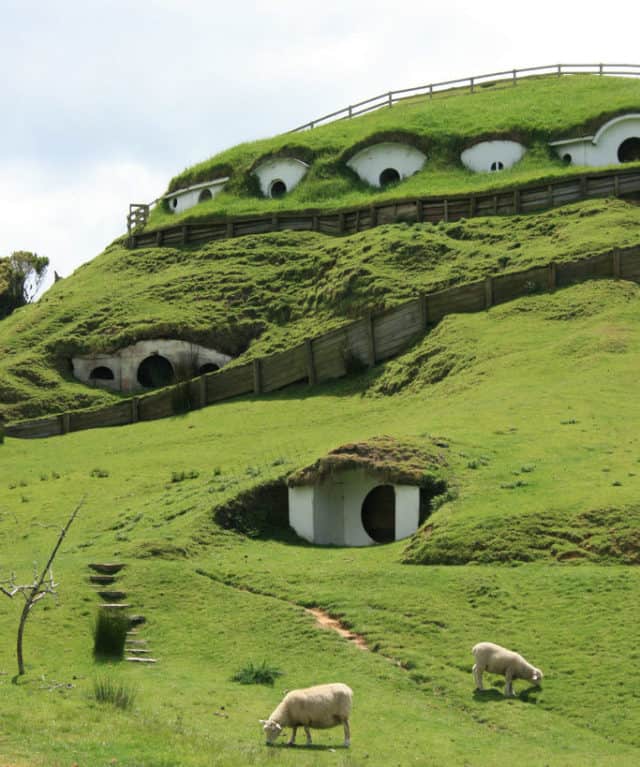 Colina_de_Hobbiton-little-hobbit-houses