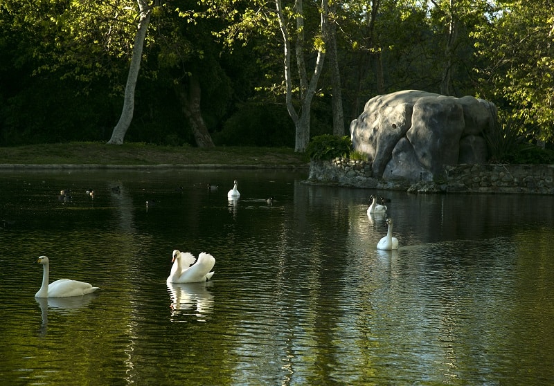 neverland ranch now sycamore valley ranch pool area