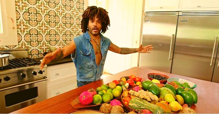 lenny kravitz's house interiors in brazil: kitchen