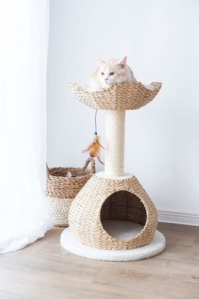 The Cutest Cat Condos You Can Get on Amazon
