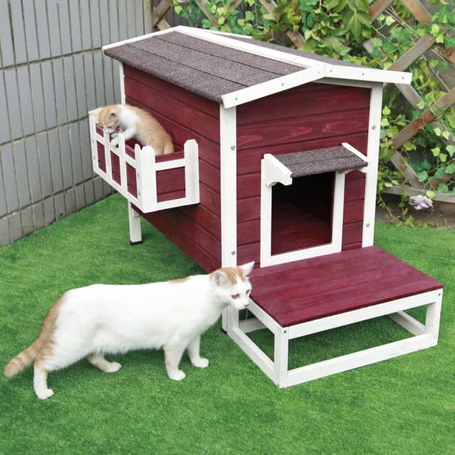 Cat Condo free download Cat Condo free download