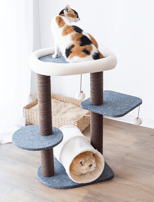 cute cat condo