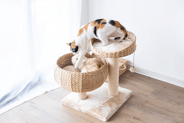 cutest cat condos on amazon