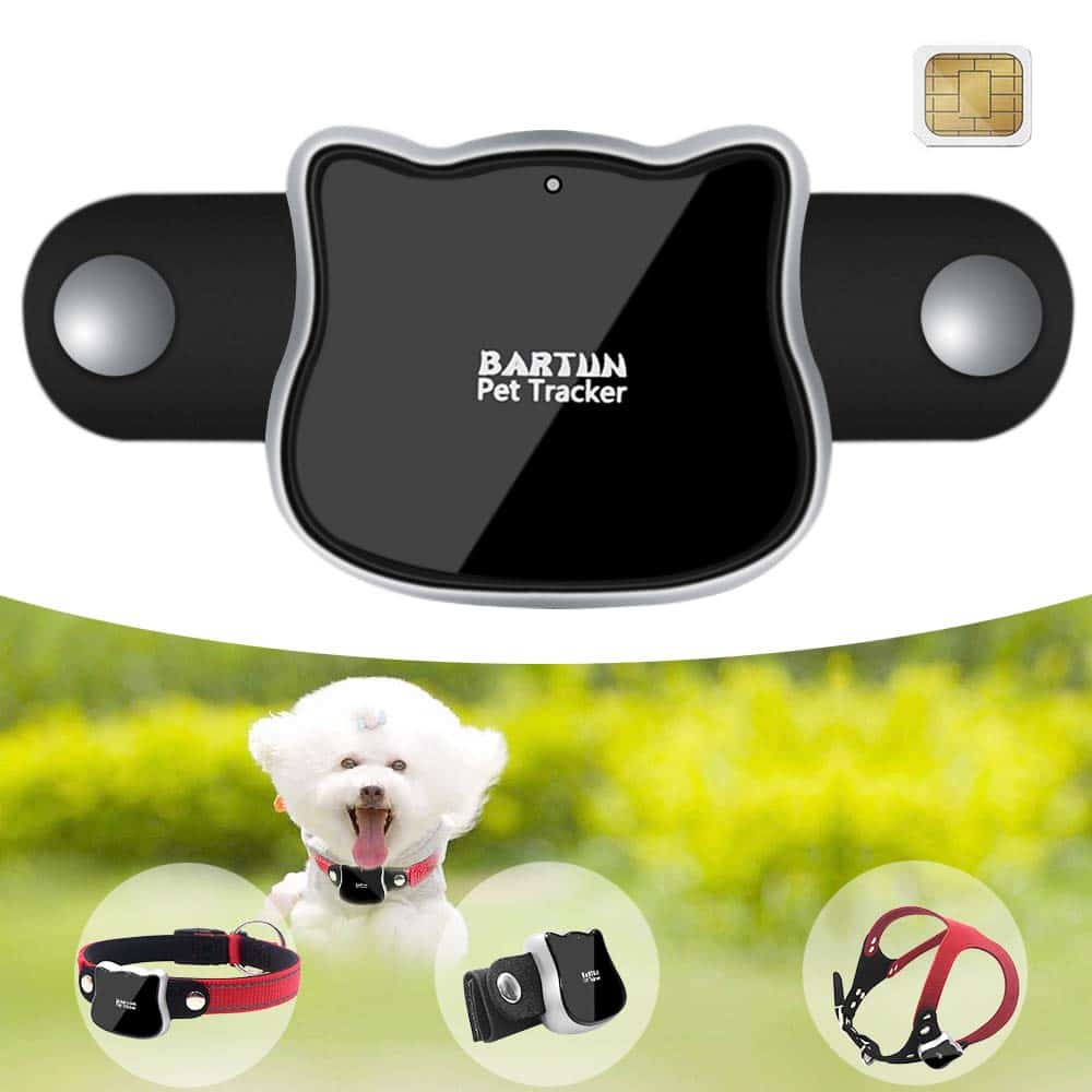 smart home devices for pets