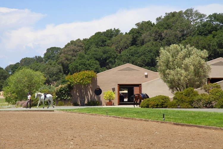 toyon farm napa valley equestrian estate and vineyard