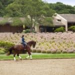 toyon farm napa valley equestrian estate and vineyard