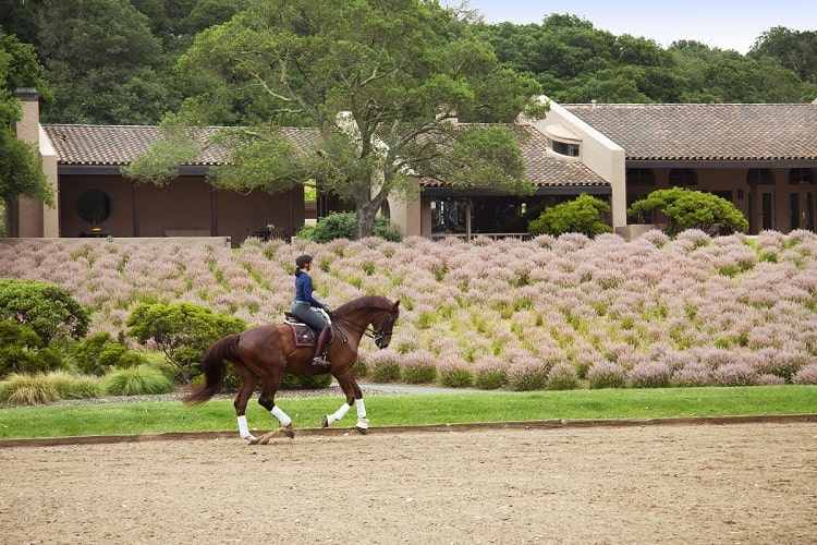 toyon farm napa valley equestrian estate and vineyard