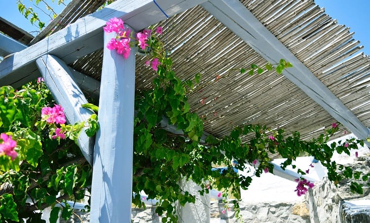 flower decorated pergola outdoor design