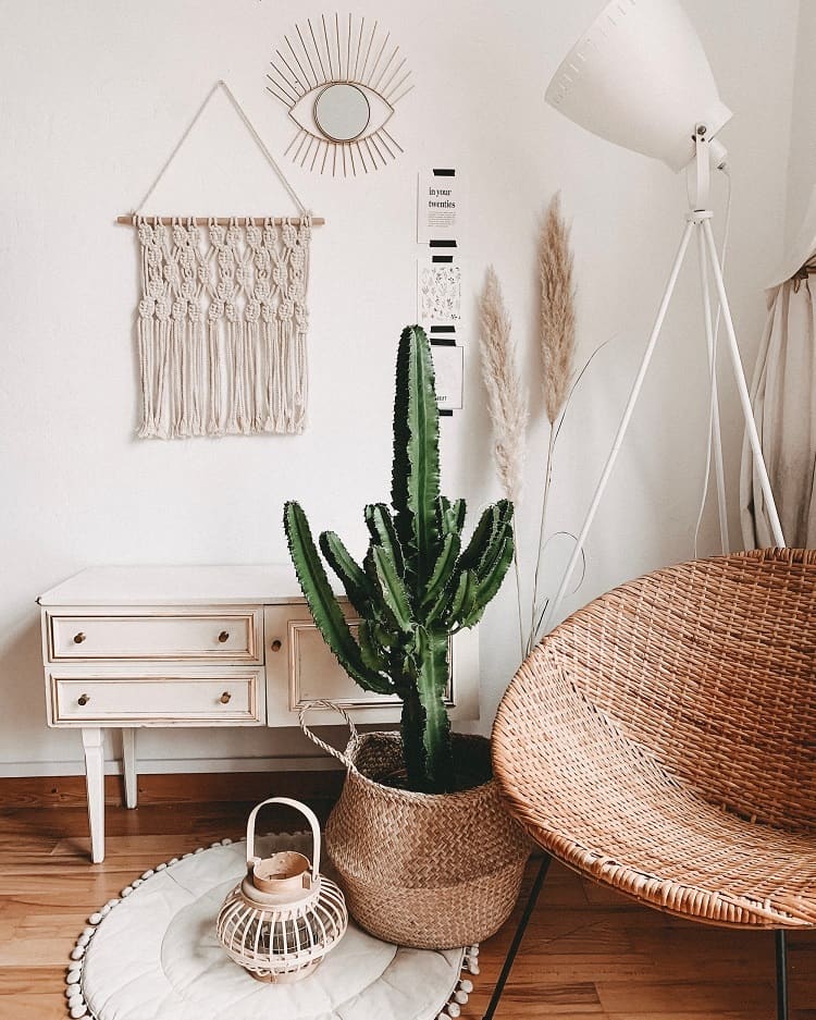 cozy-interiors-plant-and-wicker