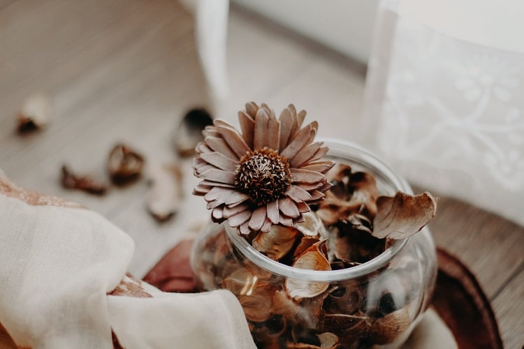 potpourri
