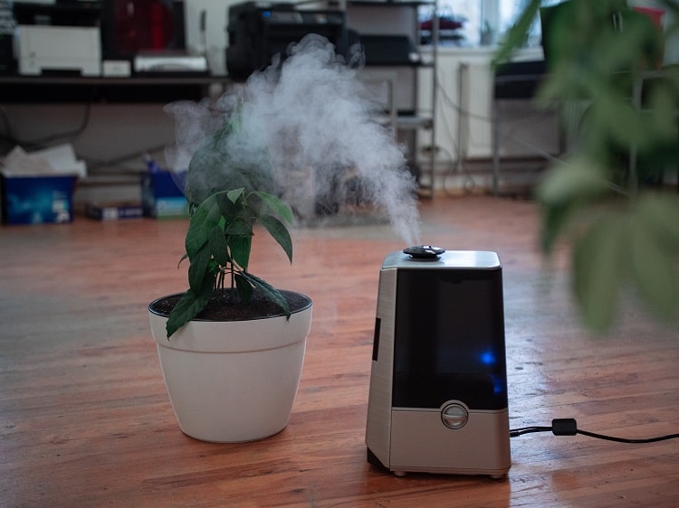 humidifier