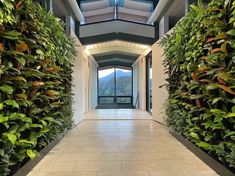 living wall in the foyer of a luxury home