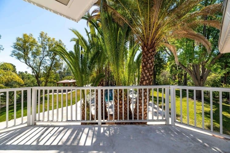 balcony facing the garden and palm trees