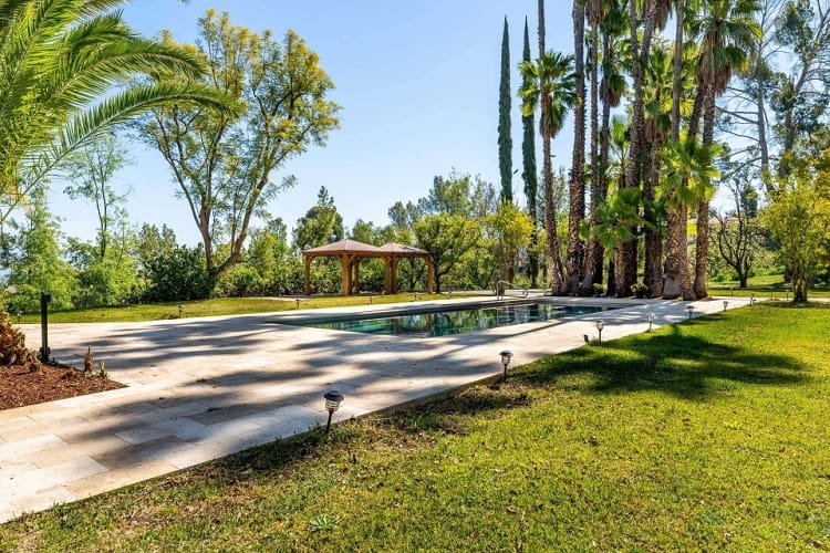 expansive backyard with pool and palm trees in zendaya's home