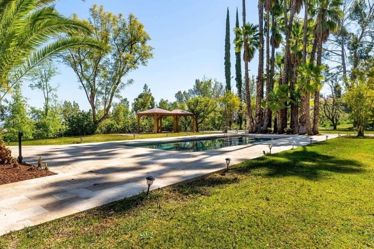 expansive backyard with pool and palm trees in zendaya's home 