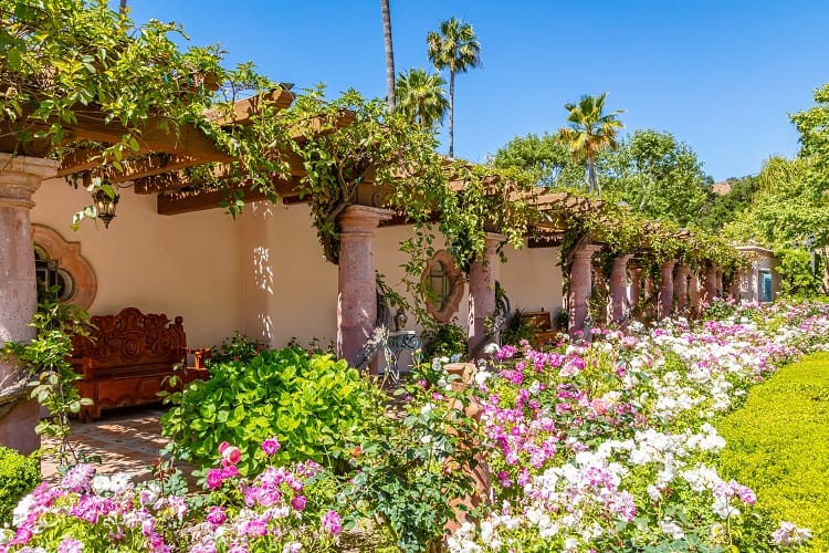 house surrounded by trumpet vine covered porticos