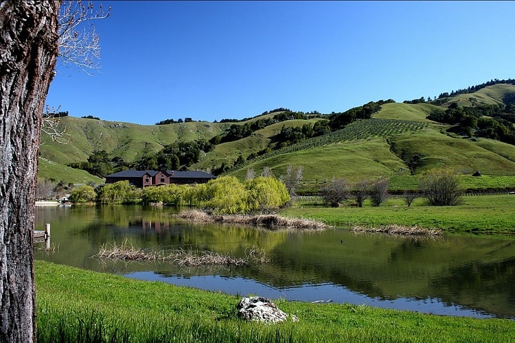 Skywalker Ranch's Lake Ewok with the Tech Building in the background where Skywalker Sound is housed.