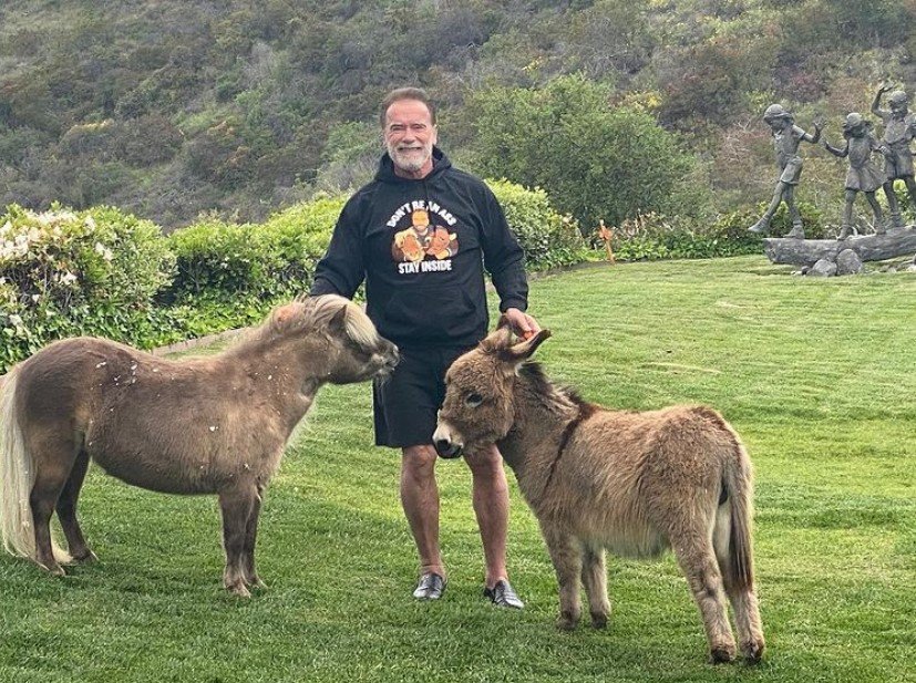 Arnold Schwarzenegger in the backyard of his Pacific Palisades house, with his animals