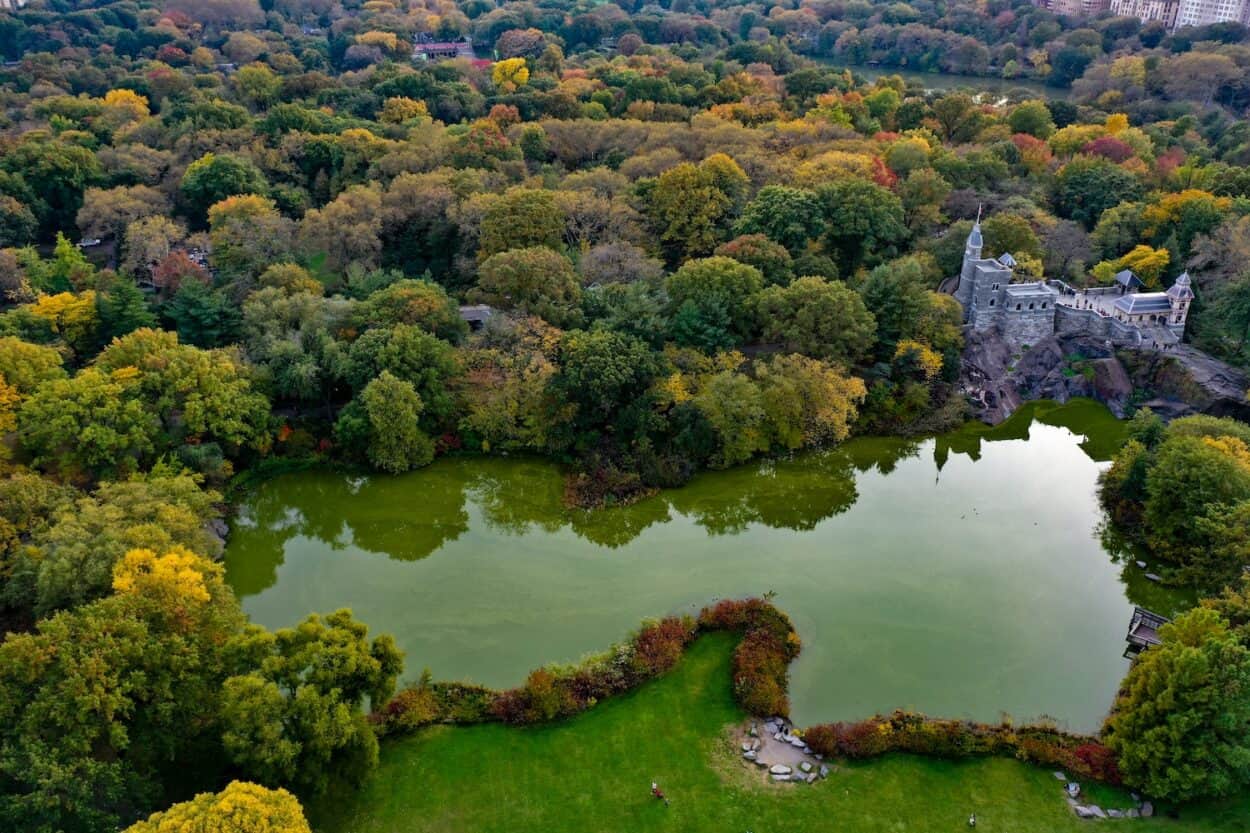 Aerial view of Belvedere Castle in Central Park, NYC