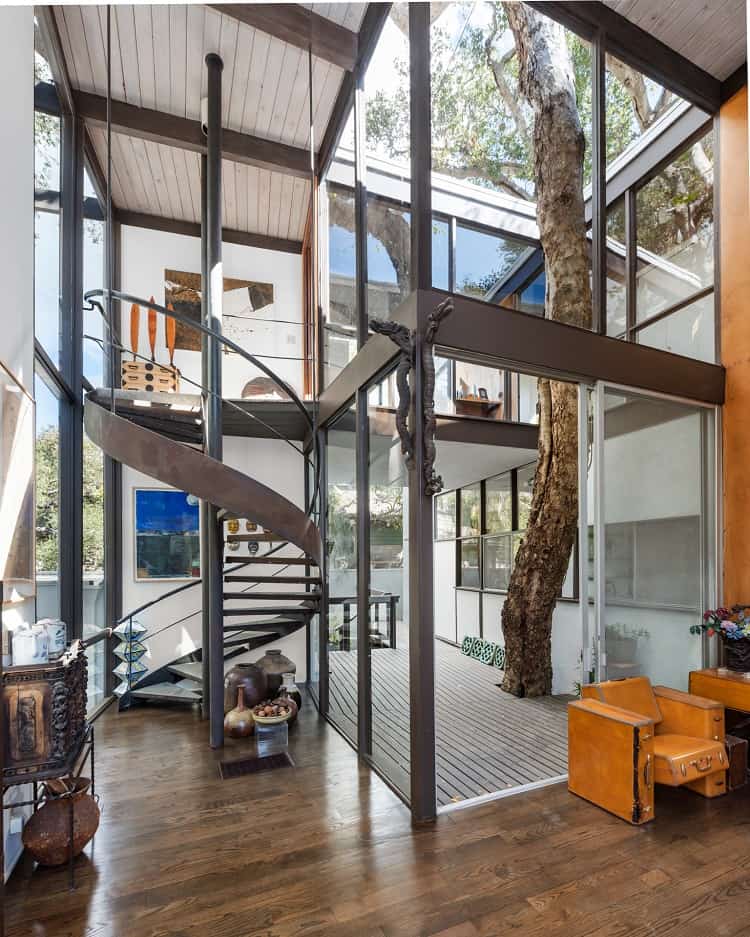 tree growing inside a mid-century house