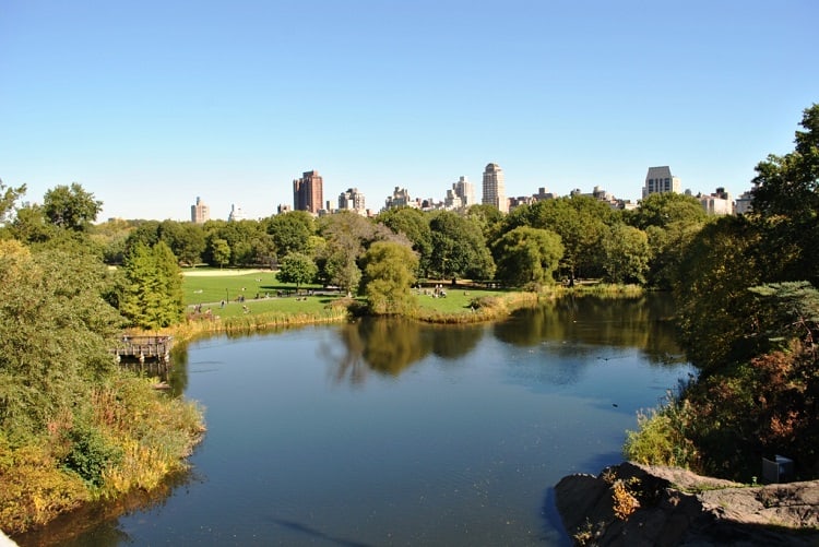 View of Central Park from Belvedere Castle. 