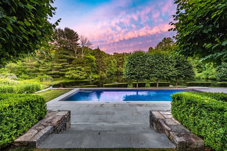 The pool and surrounding greenery.