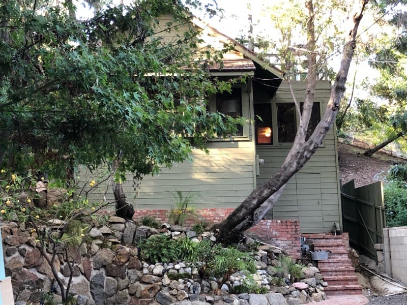 Joni Mitchell's house in Laurel Canyon, Los Angeles, with a large tree growing in front