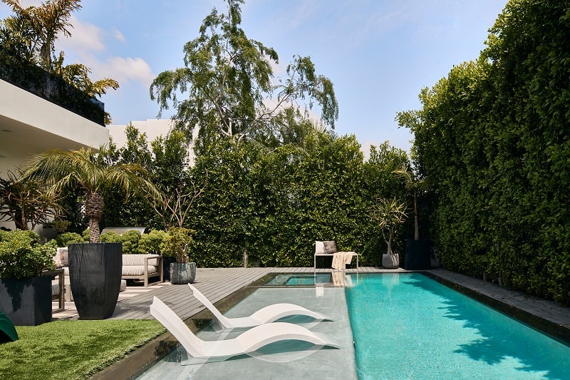 pool area surrounded by tall shrubs