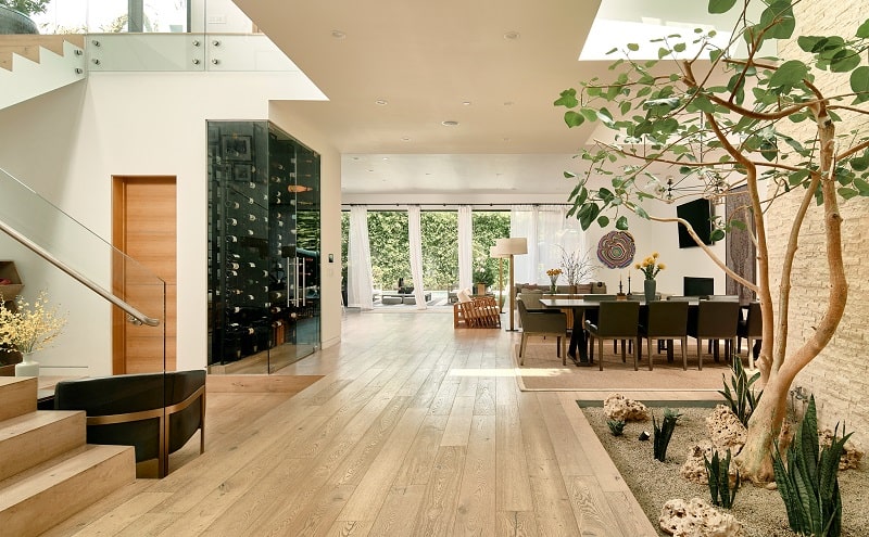 open floorplan with warm wood interiors, a wine chiller, dining area, and a ficus growing inside