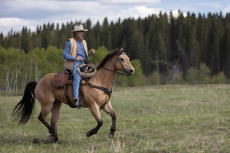 Heartland, Episode 1501: Jack (Shaun Johnston) tends to his herd while riding a horse