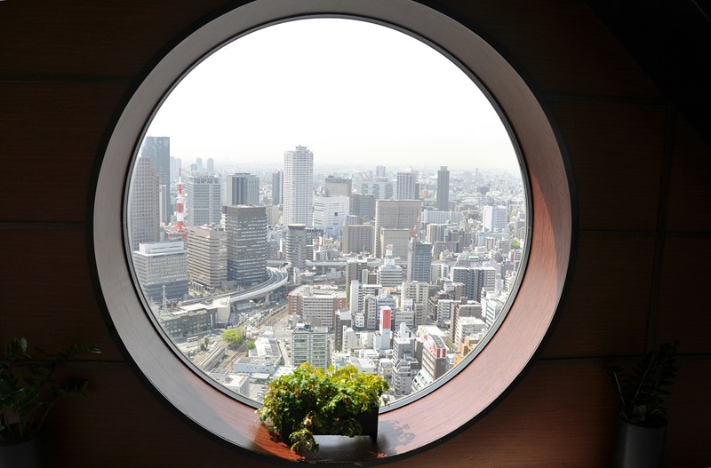 round window or porthole with a small potted plant, with the cityscape visible through the glass