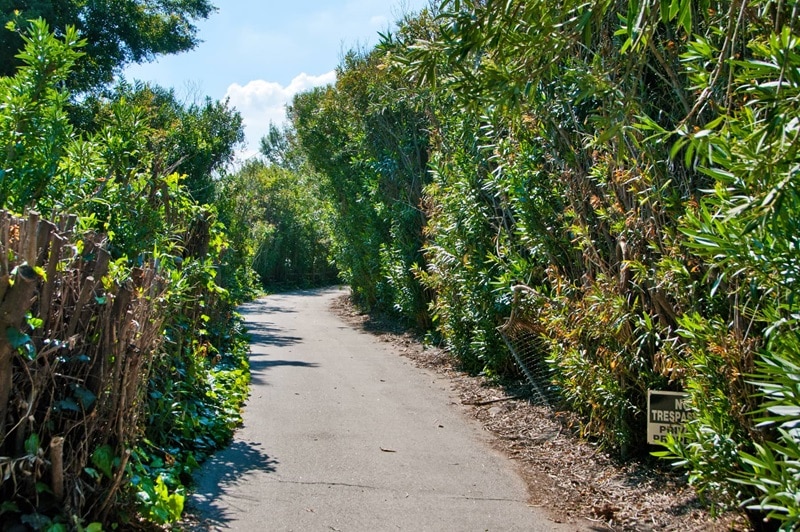 The secluded entrance to the Bird Streets cottage, surrounded by shrubbery and trees