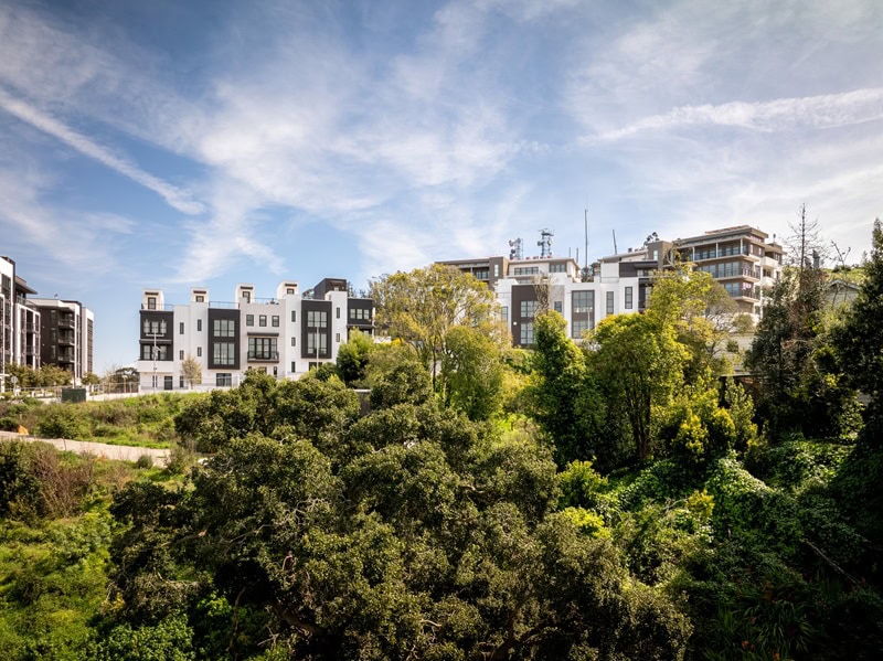 townhouses rising through dense shrubbery, with a clear sky above.  