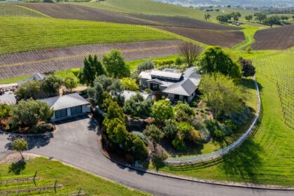 Terry Hoage Wines estate, seen from above