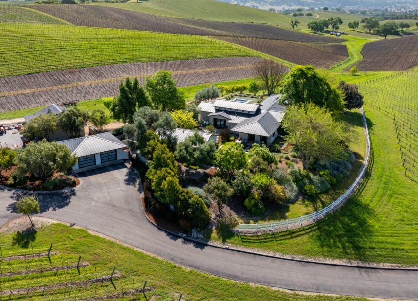 Terry Hoage Wines estate, seen from above