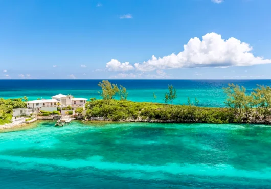 10 Celebs who made the Caribbean their home away from home
